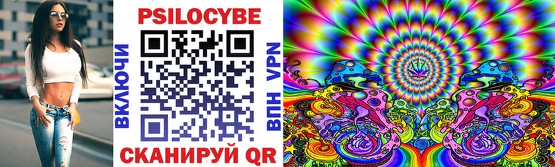 Купить где  Сурск  Галлюциногенные грибы MAGIC MUSHROOMS 